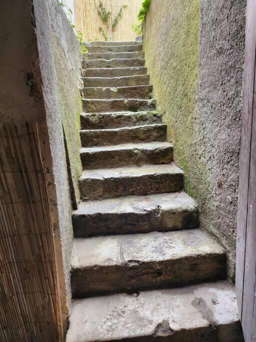 La Maisonnette Des Hautes Granges Blois Zewnętrze zdjęcie